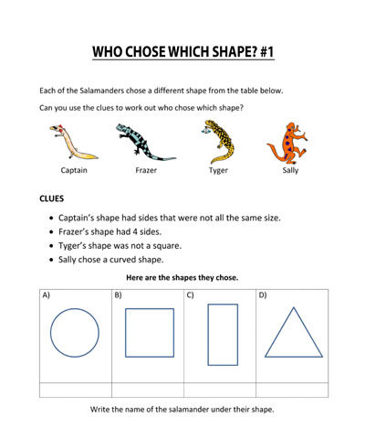 Who Chose Which Shape Logic Game