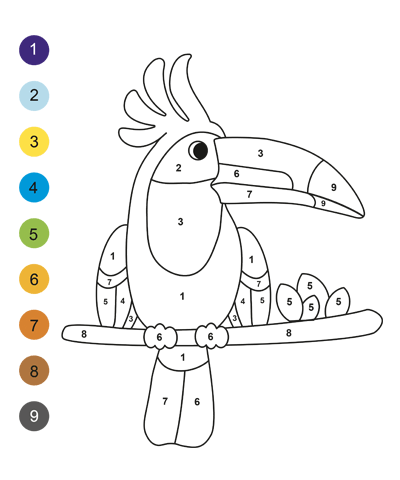 Parrot Color by Number Worksheet