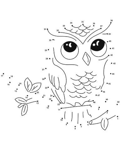 Clever Owl Dot to Dot Logical Game